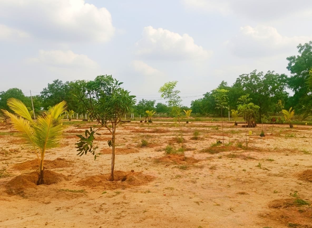 Kolanupaka Farm Land